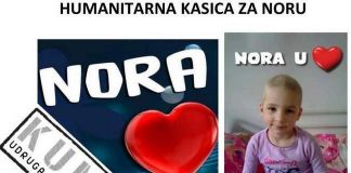 1 nora-human